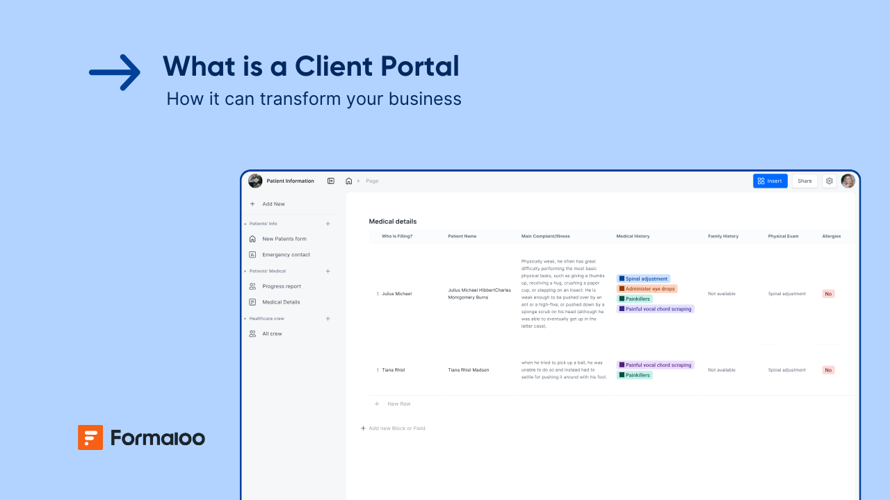 What is a Client Portal, and how it can change your business Formaloo